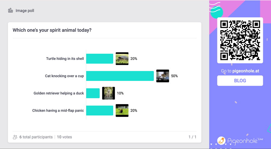 Image poll in Pigeonhole Live
