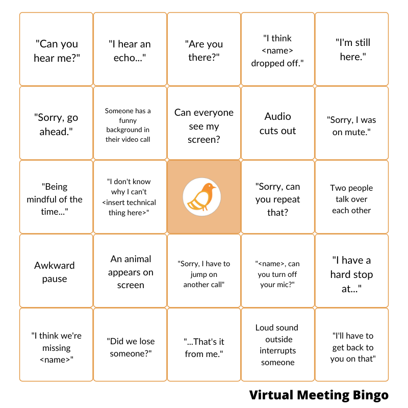 Pigeonhole's virtual meeting bingo card