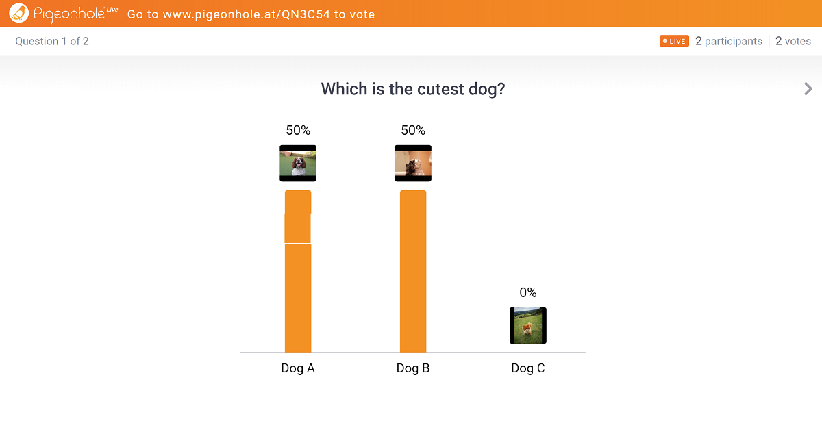 bar chart poll answers on which is the cutest dog