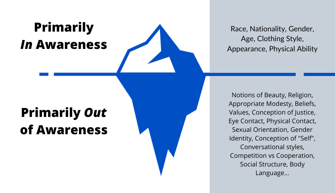 Diversity Iceberg Exercise