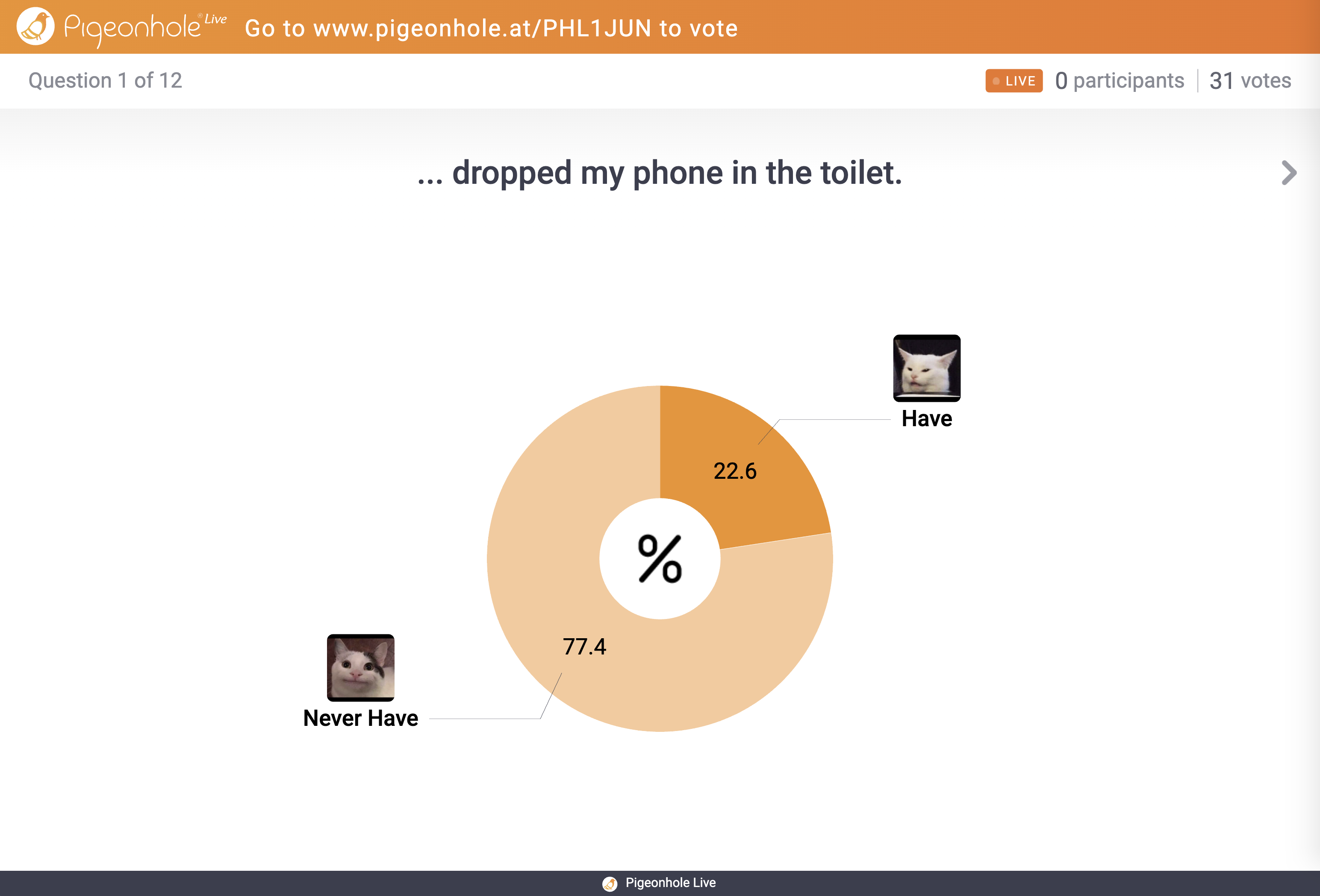 donut chart 